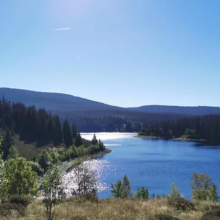 Am Berg Διαμέρισμα Wolfshagen (Lower-Saxony)