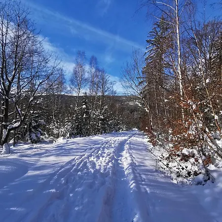 Διαμέρισμα Am Berg Wolfshagen (Lower-Saxony)