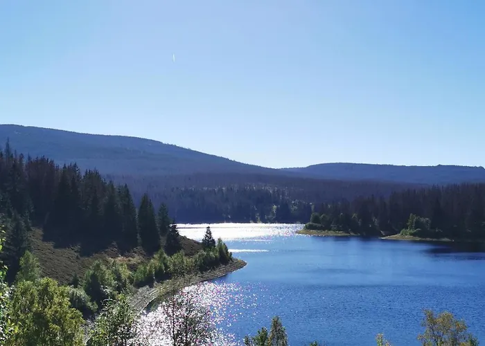 Am Berg Apartment Wolfshagen (Lower-Saxony)